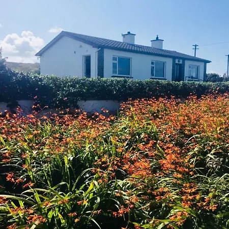 View * Doolin